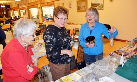Seniors centre plans to reopen