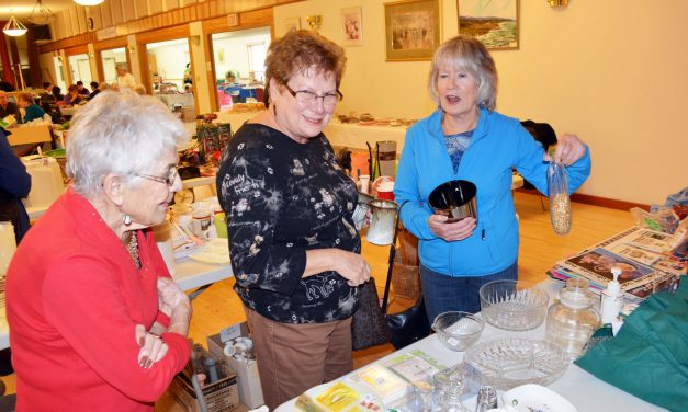 Seniors centre plans to reopen