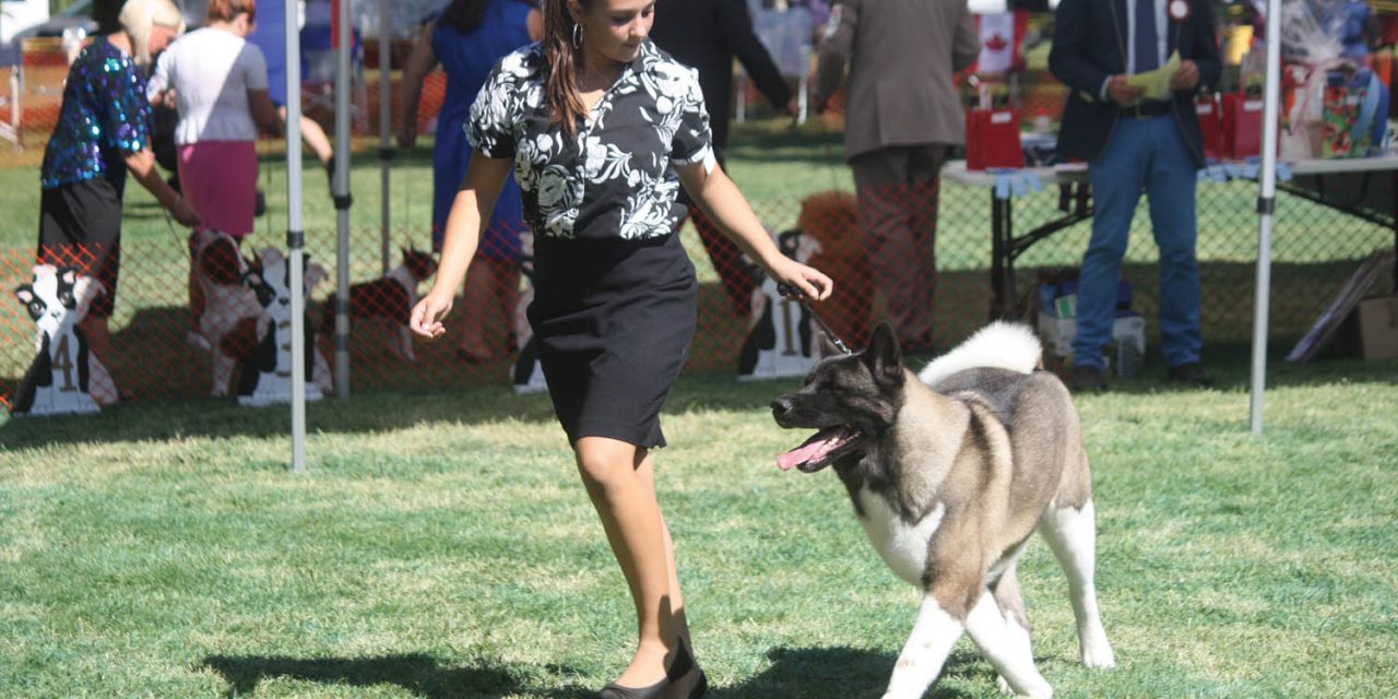 Longtime dog breeder thrilled Osoyoos now hosts one of province’s top events