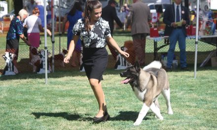 Longtime dog breeder thrilled Osoyoos now hosts one of province’s top events