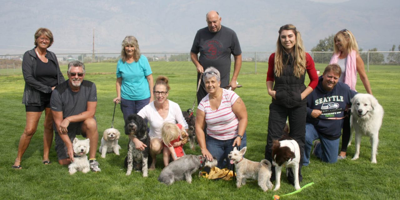 Council will look at ball diamond, relocation of dog park for $150K