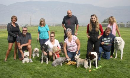 Council postpones dog park decision