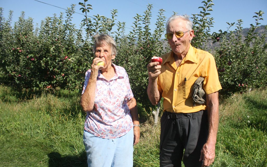 Oliver area Apple crops look very promising: BCFGA