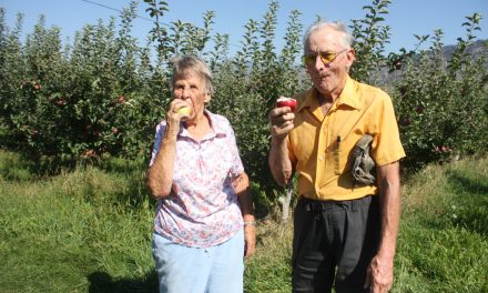 Oliver area Apple crops look very promising: BCFGA