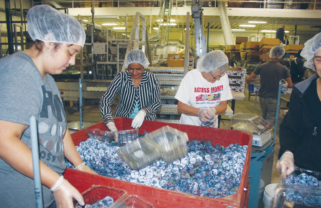 Established Canadian food company thrilled since opening new