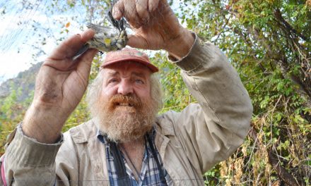 Public gets bird’s eye view of conservation