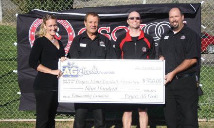 Minor baseball in Osoyoos continued to thrive and grow during second season
