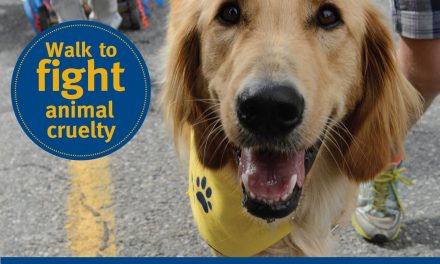 Paws for a Cause fundraiser for SPCA taking place this Sunday in Penticton