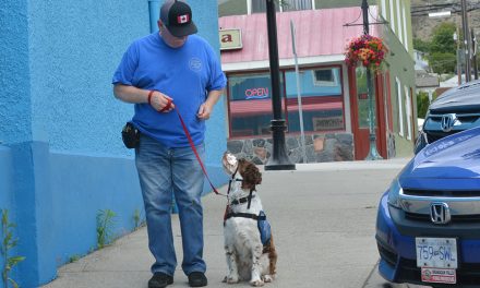 Man names service dog after heroes