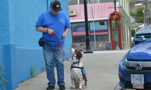 Man names service dog after heroes
