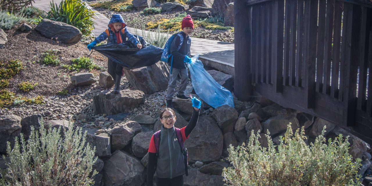 Students clean up shoreline in Osoyoos