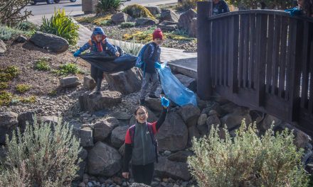 Students clean up shoreline in Osoyoos