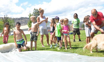 Summer Fun