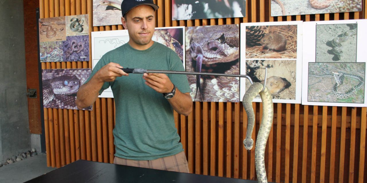 Nk’Mip Desert Cultural Centre to celebrate World Snake Day on Saturday, July 16