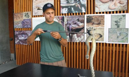 Check out World Snake Day at cultural centre