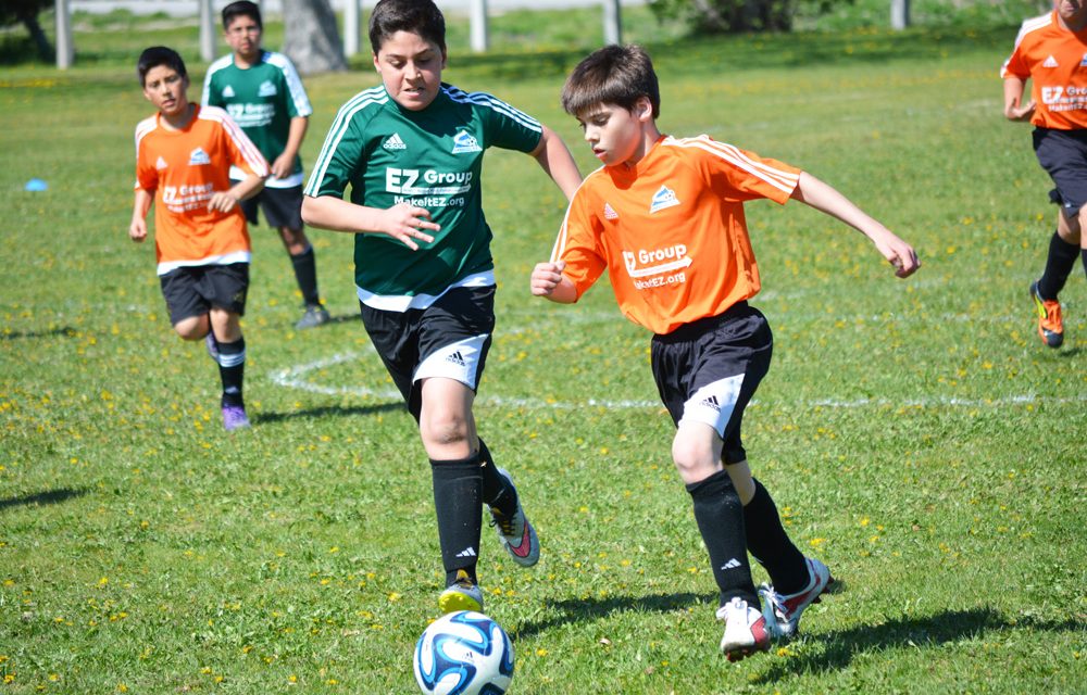 New soccer program organized for youth