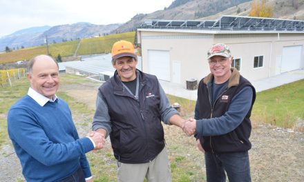 Gehringer Brothers “green up” winery