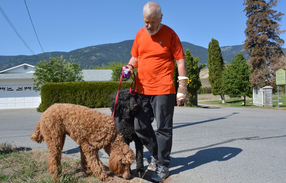 Pet owners warned of bad treats