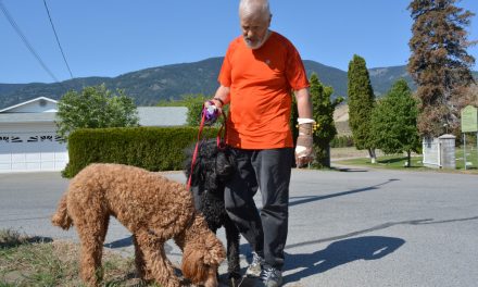 Pet owners warned of  bad treats