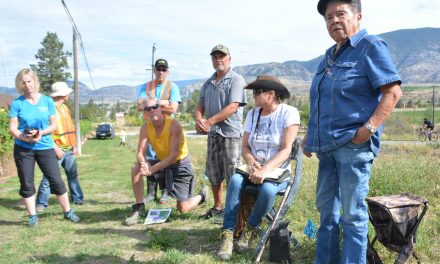 A declaration of war on puncturevine as invasive weeds running rampant