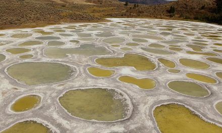 Spotted Lake appears in five-part documentary for ‘The Nature of Things with David Suzuki’