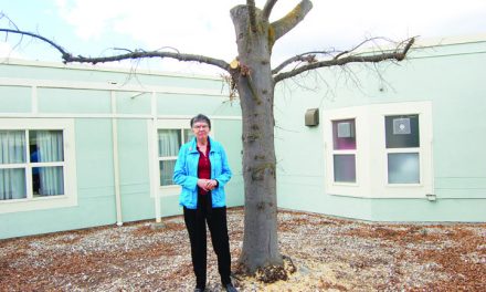 Sunnybank auxiliary not impressed with tree hacking