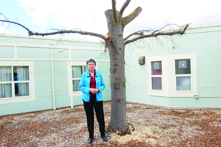 Sunnybank auxiliary not impressed with tree hacking