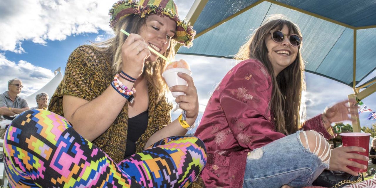 Sunshine Festival chock full of things to do and see