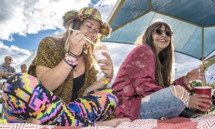 Sunshine Festival chock full of things to do and see