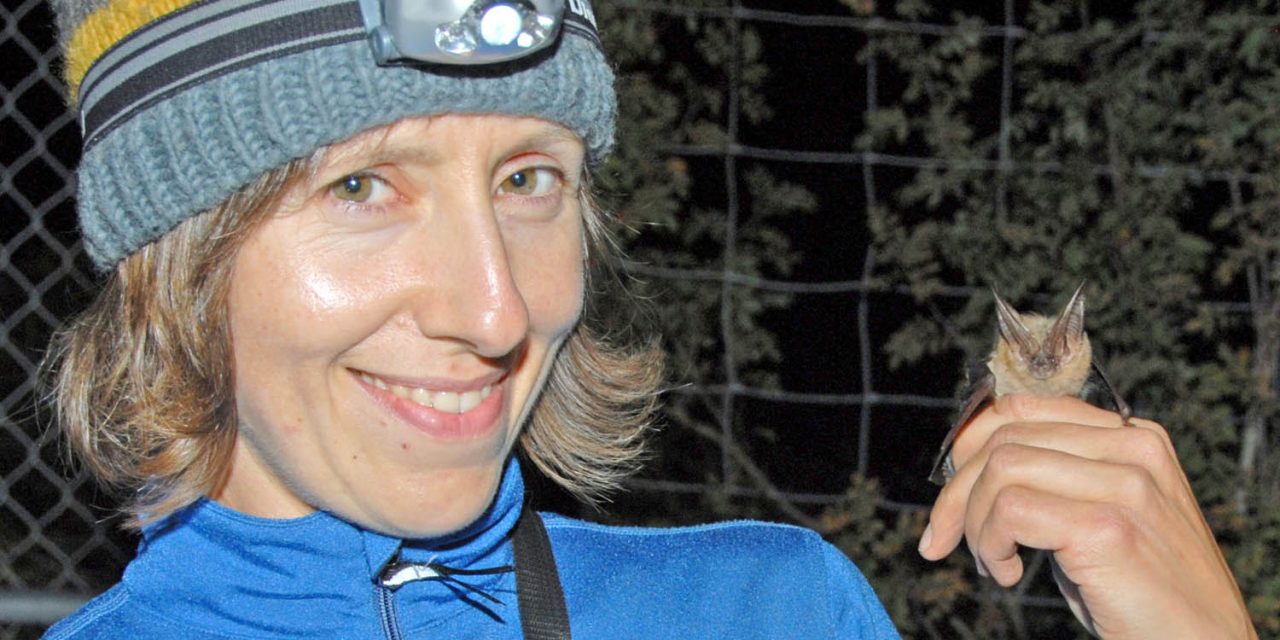 New program aims to engage public about bats