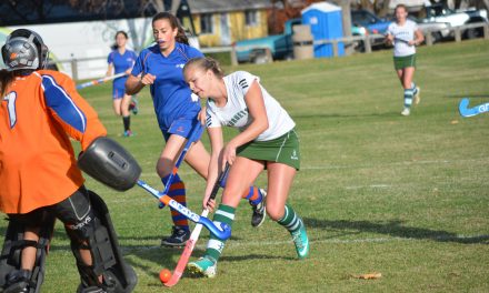 Hornets find groove with 2-0 win against Surrey