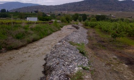 Officials keep wary eye on Testalinda Creek