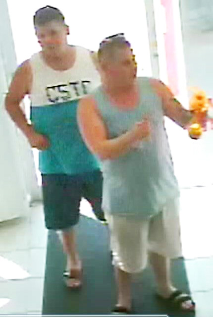 Oliver RCMP looking for brazen thieves