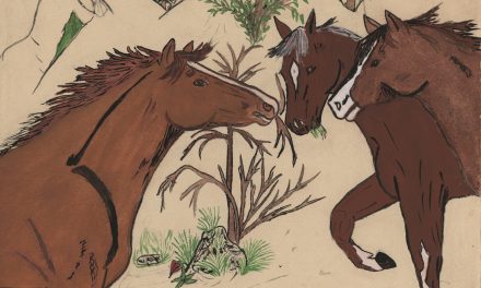 Kelowna show includes  art by OIB children