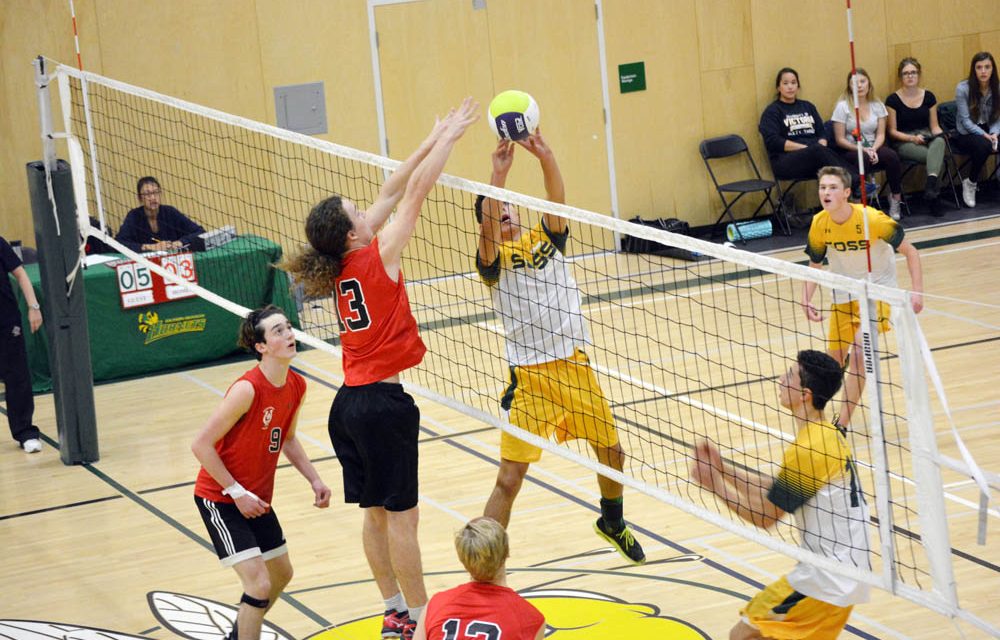 Senior boys earn right to host valley championships