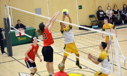Hornets put the sting to Mustangs