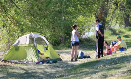 Bylaw officer says using ‘heavy hand’ approach doesn’t work