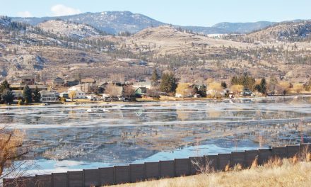 Commission eases stance on land designation