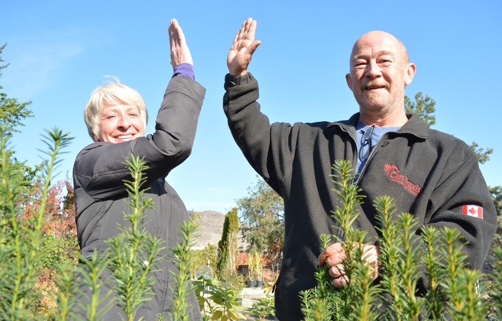 Memorial tulip garden to honour veterans