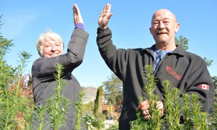 Memorial tulip garden to honour veterans