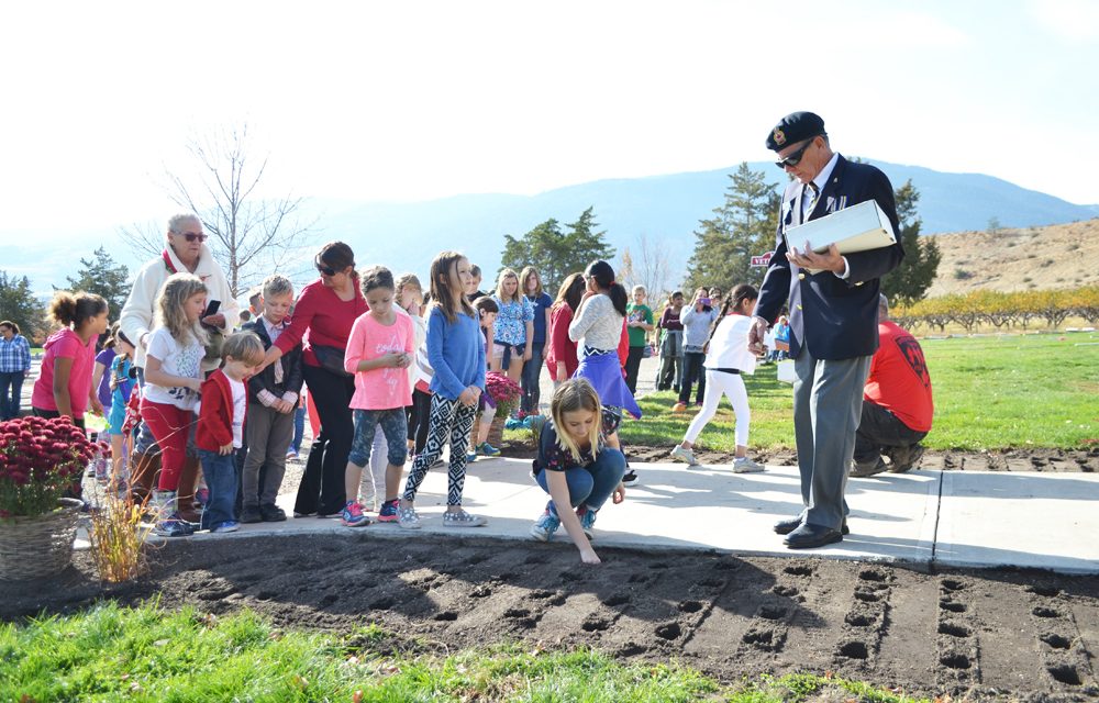 Tulips honour veterans in Oliver Cemetery