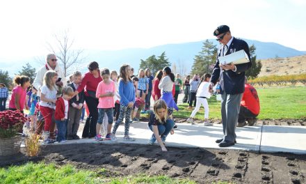 Tulips honour veterans in Oliver Cemetery