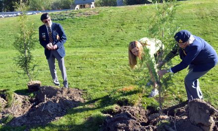 Eighty new trees planted in Lion’s Park