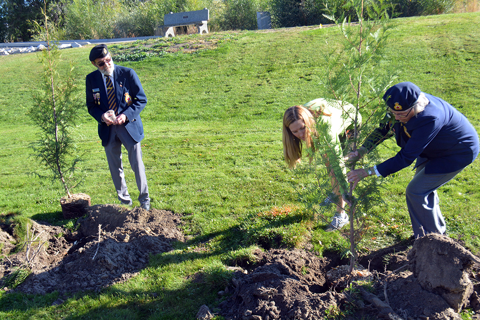 Eighty new trees planted in Lion’s Park