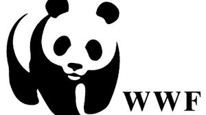 SOSS students help endangered wildlife