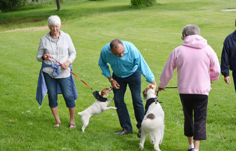 Walk for Dog Guides raises $2,000 for canine training