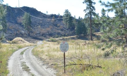 Fire crews gaining upper hand