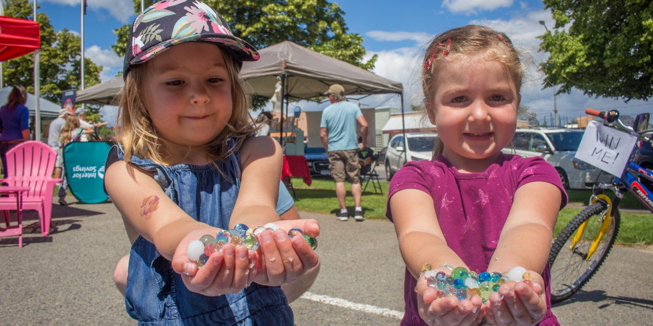 International Global Wellness Day celebrated locally