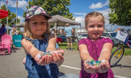 International Global Wellness Day celebrated locally