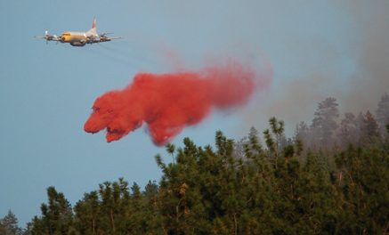 Forestry extinguishes blaze in Willowbrook